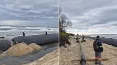 Obras no Estreito do Melão buscam conter o avanço da erosão e proteger comunidades tradicionais da Ilha do Cardoso, em Cananéia. Foto: Governo do Estado de São Paulo - Imagem: Divulgação / Governo do Estado de SP