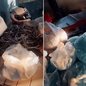 Corpo de mulher foi encontrado em barraco abandonado durante operação policial na comunidade da Vila Zilda, em Guarujá. - Imagem: Divulgação / 21° BPM/I