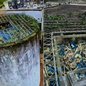 Ossadas humanas foram encontradas armazenadas em uma estrutura de concreto no Cemitério Municipal da Igualdade, em Mongaguá, no litoral de São Paulo - Imagem: Luiz Roberto Silvestre Filho e Guilherme Alves dos Anjos