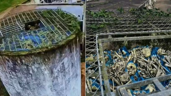 Ossadas humanas foram encontradas armazenadas em uma estrutura de concreto no Cemitério Municipal da Igualdade, em Mongaguá, no litoral de São Paulo - Imagem: Luiz Roberto Silvestre Filho e Guilherme Alves dos Anjos
