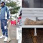 Estrutura óssea encontrada parcialmente enterrada na Praia da Enseada, em Guarujá, foi recolhida para análise após avaliação indicar possível origem em mamífero marinho de grande porte - Imagem: Arquivo Pessoal