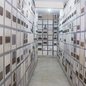 Localizada no subsolo da Catedral de Santos, a Capela das Almas reúne mais de 1,5 mil restos mortais, além de túmulos de bispos e sacerdotes ligados à história da Igreja Católica na região - Imagem: Reprodução/TV Tribuna