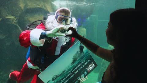 O Papai Noel trouxe alegria ao público ao mergulhar em um dos tanques do parque - Imagem: Prefeitura de Santos