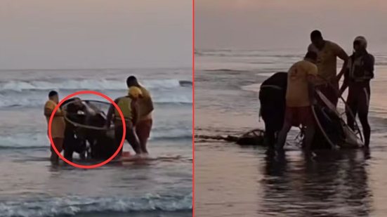 Após a queda, os homens apresentaram apenas tosse leve e foram liberados sem necessidade de atendimento médico adicional - Foto: Reprodução/ G1/ Ricardo Pessoa Lima