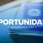 URGENTE: PAT Guarujá oferece 31 novas vagas de emprego nesta quarta-feira; saiba quais são - Imagem: reprodução