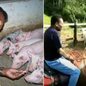 Fazenda que pertenceu a Pelé por 38 anos está à venda por R$ 35 milhões em Juquiá (SP). Com 661,62 hectares, a propriedade reúne quatro sedes, quase 30 suítes, piscinas, campos de futebol, capelas e estruturas para criação de gado, peixes e suínos - Imagem: Reprodução/Extra Online