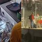 Equipes do Corpo de Bombeiros foram acionadas após um chamado de socorro de uma embarcação de pesca profissional - Foto: Corpo de Bombeiros