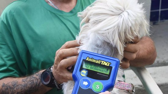 Programa municipal retoma microchipagem gratuita de cães e gatos em Praia Grande. - Imagem: Jairo Marques/Prefeitura de Praia Grande