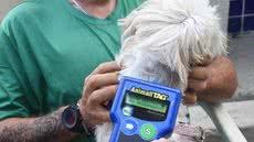 Programa municipal retoma microchipagem gratuita de cães e gatos em Praia Grande. - Imagem: Jairo Marques/Prefeitura de Praia Grande