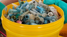 Pinos plásticos de cocaína recolhidos em praias evidenciam a contaminação por resíduos do narcotráfico - Imagem:  Instituto Ecofaxina