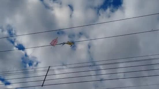 Pipas provocaram 689 interrupções no fornecimento de energia elétrica em quatro cidades da Baixada Santista entre janeiro e setembro de 2026, segundo a CPFL Piratininga - Imagem: Divulgação/imagem ilustrativa