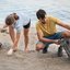 O festival busca aproximar a comunidade das riquezas naturais e culturais do Porto de Santos, com foco em sustentabilidade e inclusão social - Imagem: Freepik