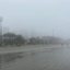 Recorde de paralisações no porto de Santos devido à neblina densa - Imagem: Reprodução/ g1