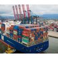 Com a dragagem, o Porto de Santos poderá receber os maiores navios do mundo, garantindo segurança e eficiência nas operações portuárias. - Imagem: Reprodução | Redes Sociais