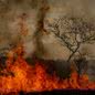 Seca prolongada, com mais de 120 dias sem chuvas e umidade abaixo de 20%, agrava os riscos de incêndios e problemas de saúde - Imagem: Reprodução/Marcelo Camargo/Agência Brasil