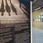 Encontro gratuito no Museu da Imagem e do Som de Santos discute a exposição fotopoética e promove reflexões sobre arte - Imagem: Divulgação