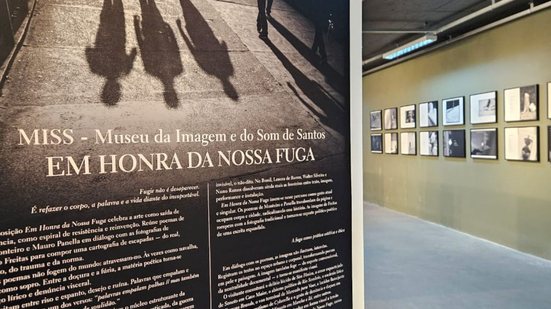 Encontro gratuito no Museu da Imagem e do Som de Santos discute a exposição fotopoética e promove reflexões sobre arte - Imagem: Divulgação