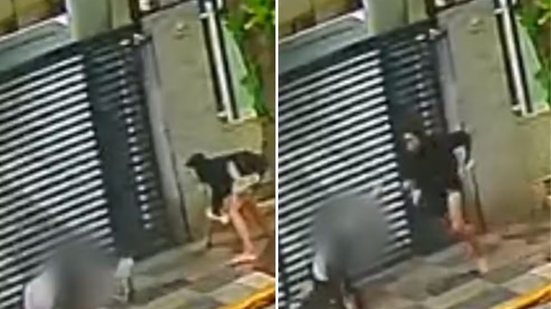 Câmeras de monitoramento registraram o momento em que uma mulher foi derrubada durante um roubo de celular na Rua Alexandre Martins, no bairro Aparecida, em Santos - Imagem: Reprodução