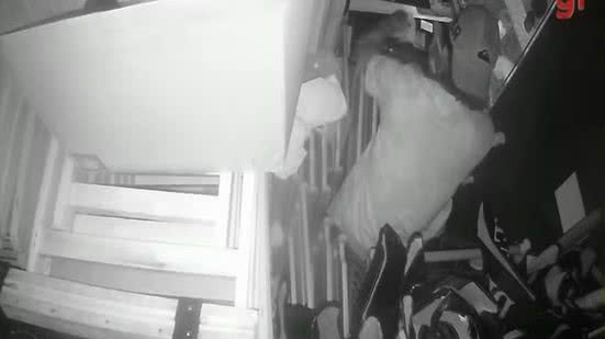 Câmera de segurança flagra momento em que suspeito invade quiosque na orla de Santos - Imagem: Divulgação