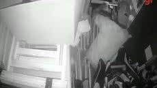 Câmera de segurança flagra momento em que suspeito invade quiosque na orla de Santos - Imagem: Divulgação