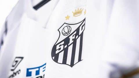 O Santos tem dois desfalques importantes por cartões amarelos para este jogo - Imagem: Instagram @santosfc