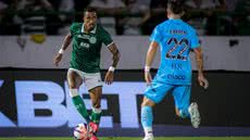 Guarani e Santos empatam no Brinco de Ouro - Reprodução/ Raphael Silvestre - GuaraniFC