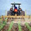 São Paulo assume liderança no agro com exportações recordes de US$ 22,69 bilhões - Imagem: Divulgação/ Governo de SP