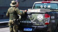 Agentes da Guarda Civil Municipal Ambiental atuaram no bairro Catiapoã, em São Vicente, após denúncia de maus-tratos que resultou na morte de um cachorro. - Imagem: Prefeitura de São Vicente