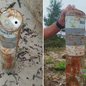 Sinalizador militar encontrado na faixa de areia em Ilha Comprida levou ao isolamento preventivo da área e mobilizou equipes especializadas para análise do artefato - Imagem: Marinha do Brasil