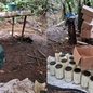 Todo o material apreendido foi levado à Delegacia de Juquiá para investigação de crimes ambientais e identificação dos responsáveis - Foto: PM Ambiental/ Divulgação