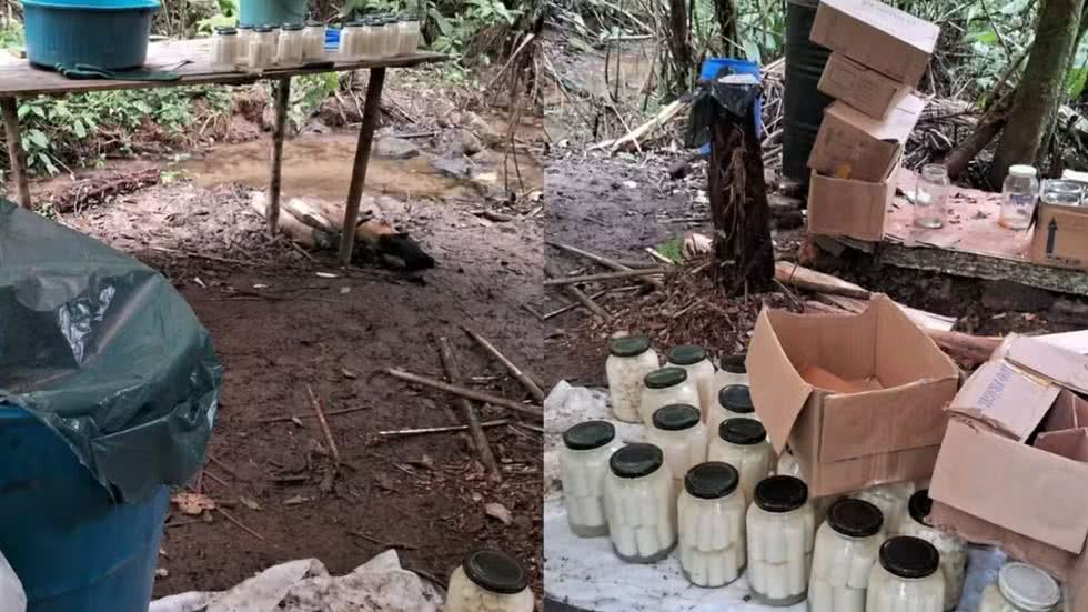 Todo o material apreendido foi levado à Delegacia de Juquiá para investigação de crimes ambientais e identificação dos responsáveis - Foto: PM Ambiental/ Divulgação