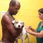 Santos dá início a vacinação de cães contra várias doenças na próxima segunda-feira - Imagem: reprodução Prefeitura de Santos