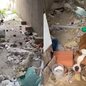 Animais estavam visivelmente magros e sem cuidados básicos em casa suja - Foto: Divulgação/ Polícia Civil