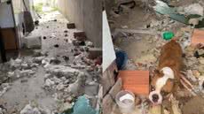 Animais estavam visivelmente magros e sem cuidados básicos em casa suja - Foto: Divulgação/ Polícia Civil