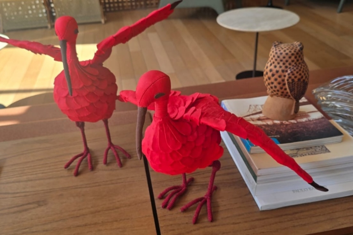 Guarás vermelhos, de kalina Rameiro