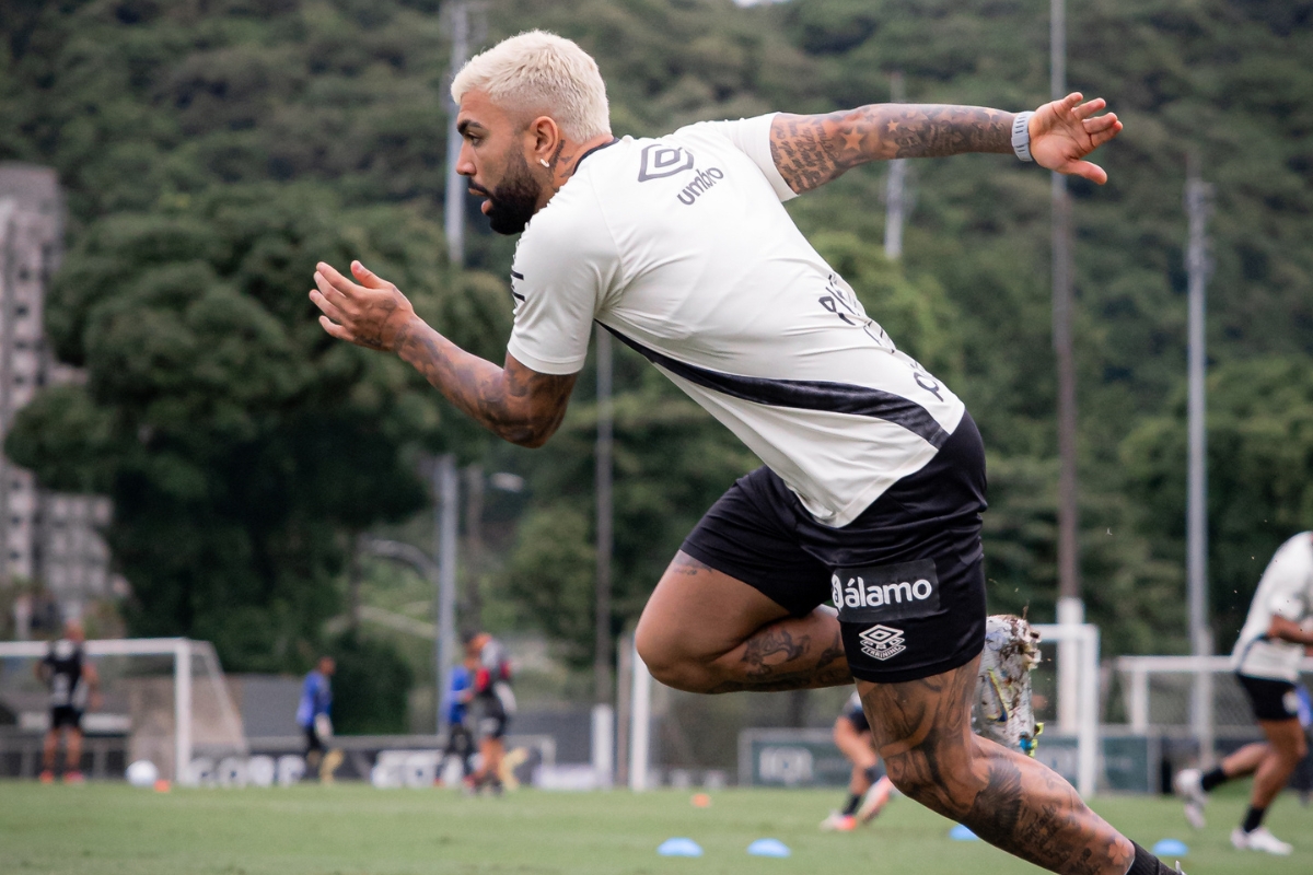 Gabigol deve ser titular para esta partida - Foto: Raul Baretta / Santos FC