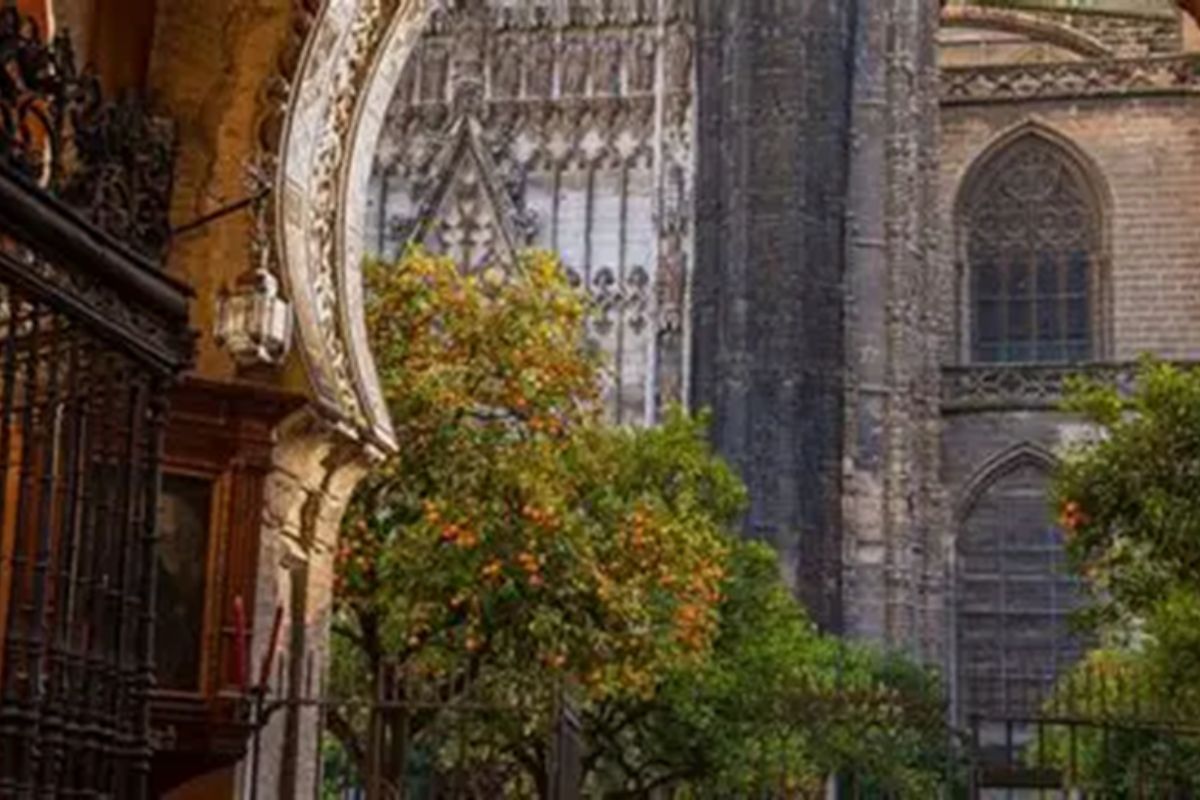 Pátio das Laranjeiras da Catedral de Sevilha (Patio de los Naranjos) – ( Wikipidia Commons)