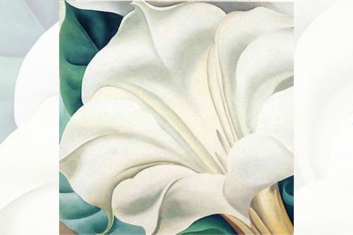 Georgia O’Keeffe – Jimson Weed 2.