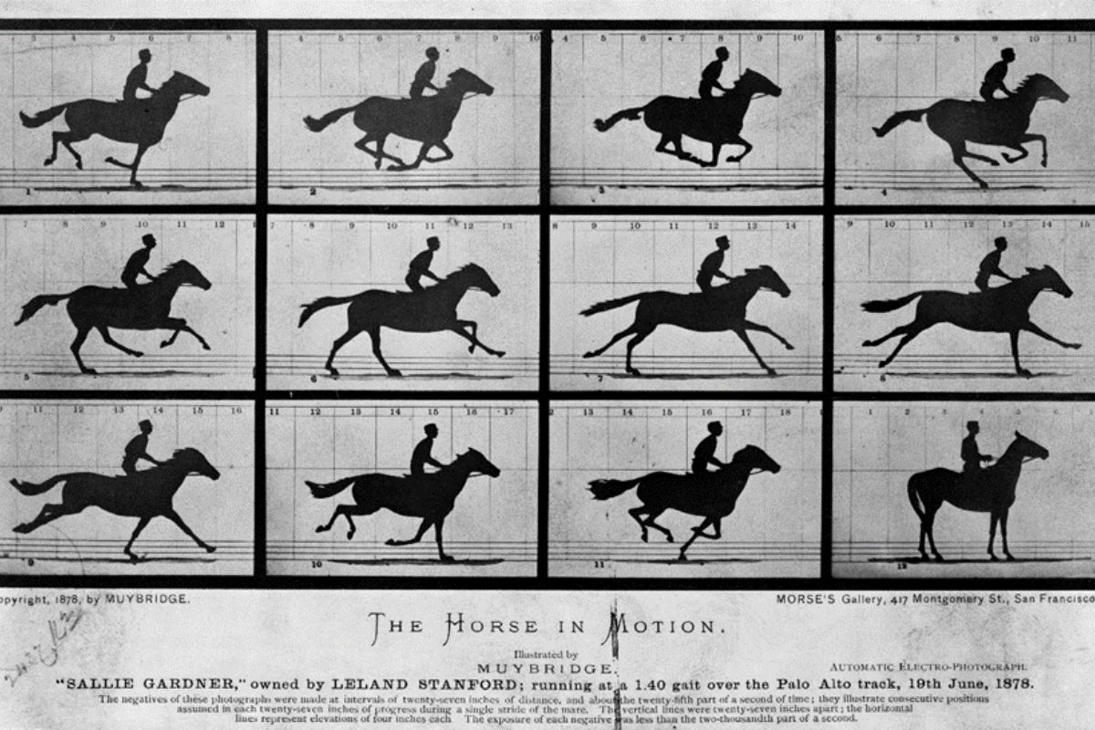 “The Horse in Motion” (1878),  Muybridge