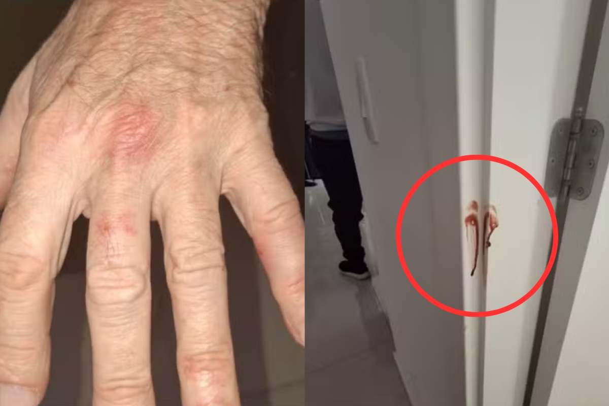Imagem: Reprodução