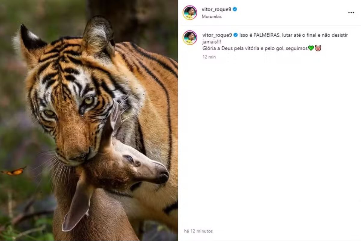 Vitor Roque fez post homofóbico em provocação ao São Paulo e apagou foto — Foto: Reprodução